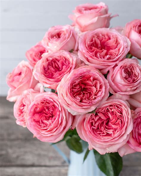 London Eye Pink Garden Rose Rosas Del Corazón