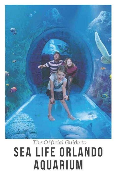 The Official Guide To Sea Life Orlando Aquarium Universal Studios