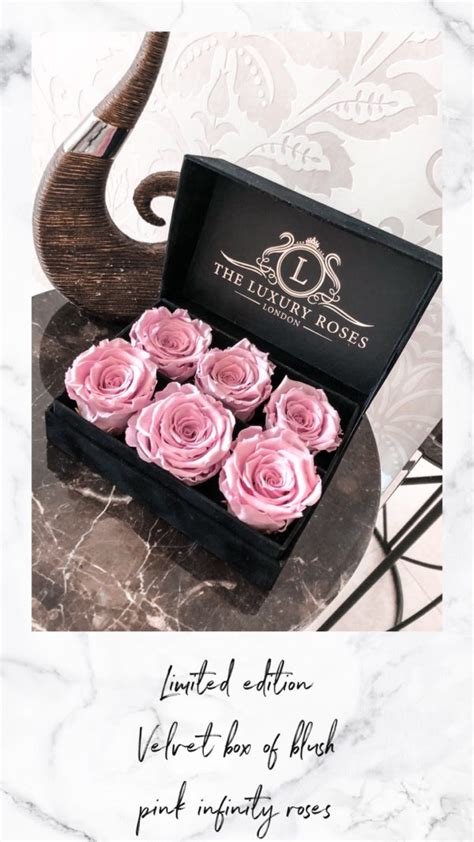 Medium White Box Of Pink Infinity Roses With Transparent Lid