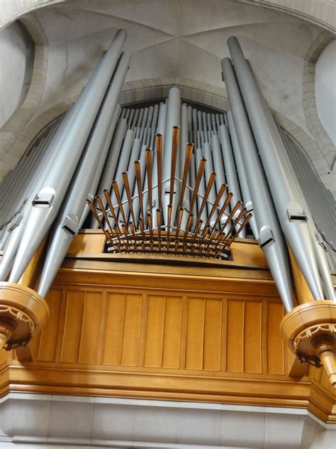 Anglican Cathedral Wellington New Zealand Anglican Cathedral Organ