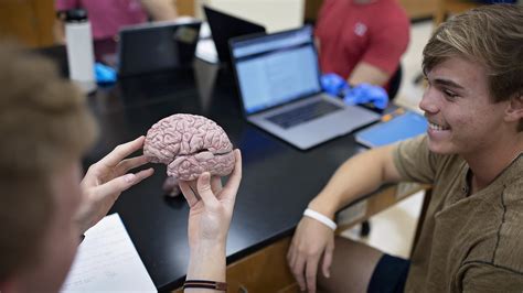 Interdisciplinary Neuroscience Major Samford University