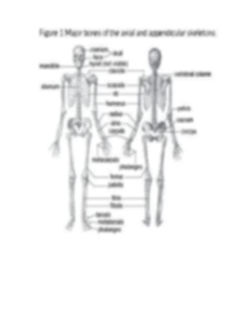 Solution Anatomy And Physiology Notes The Skeletal System Studypool