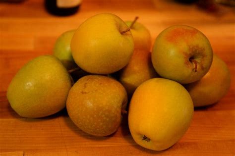 Mountain Rose Apples Article And Recipe Sagepolyscience