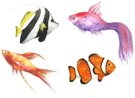 Sea Life Watercolor Clipart Fish Clip Art Watercolor Ocean Clip Art