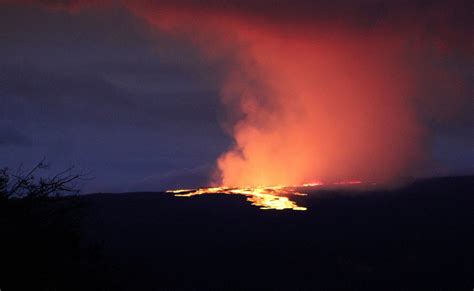 Mauna Loa News Live Hawaii Officials Share Volcano Eruption Map As