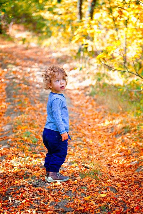 Baby Boy In The Woods Stock Image Image Of Portrait 62329881