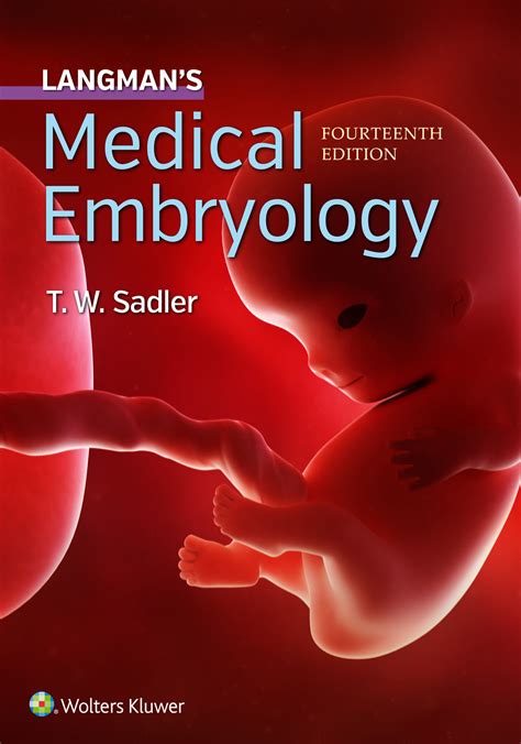 Langmans Medical Embryology 14 Edition Isbn 9781496383907