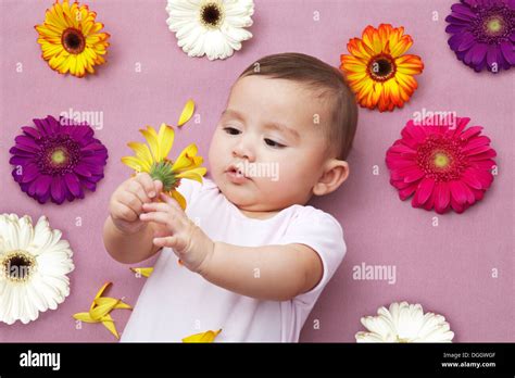 Baby Girl Holding Flower Stock Photo Alamy