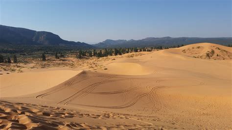 A Visit To The Coral Pink Sand Dunes The Long Brown Path