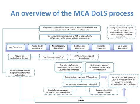 Ppt An Overview Of The Mca Dols Process Powerpoint Presentation Free