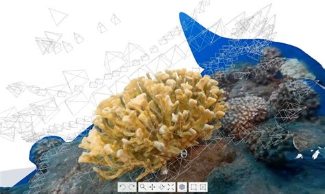 The Hydrous Project Creates 3d Maps Of The Worlds Coral Reefs To Track