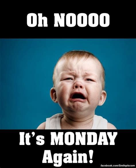 Oh Nooo Its Monday Again Monday Monday Quotes Its Monday Funny Monday