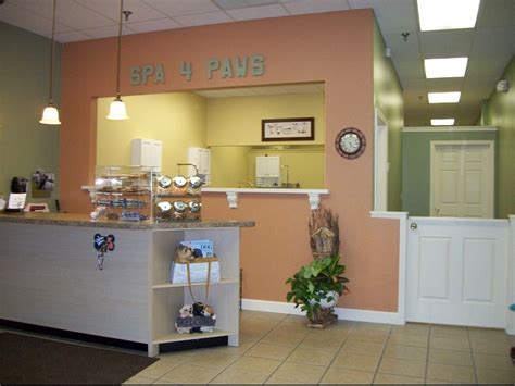 Spa 4 Paws Professional Dog Grooming In Northern Kentucky Dog