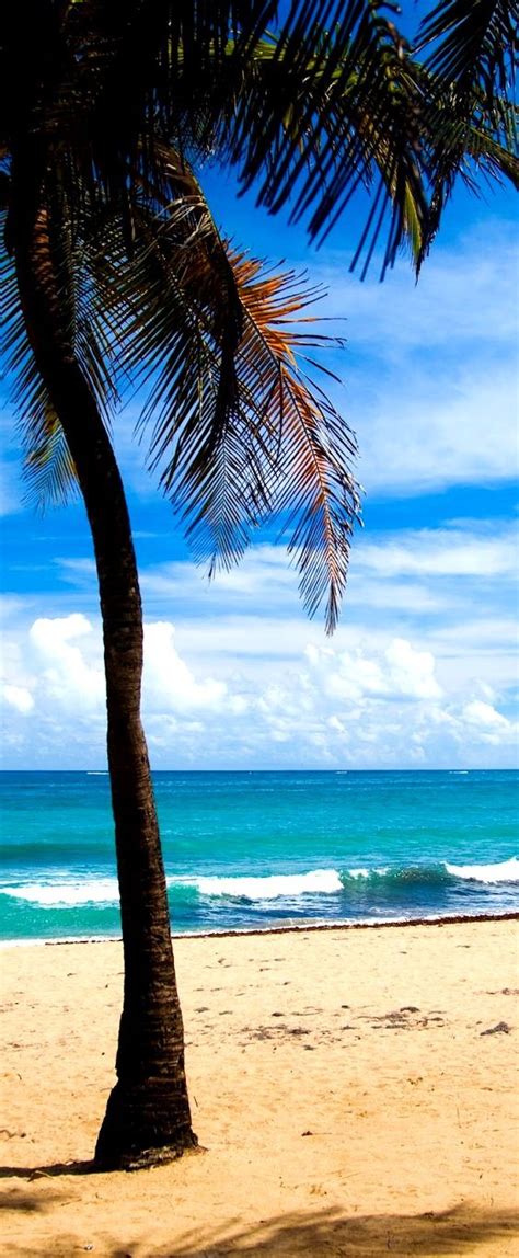 Peisaje De Vara Pentru Fundal Top 10 Beaches In Puerto Rico For A