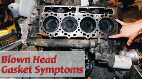 Signs Of A Blown Head Gasket Auto Mechanic
