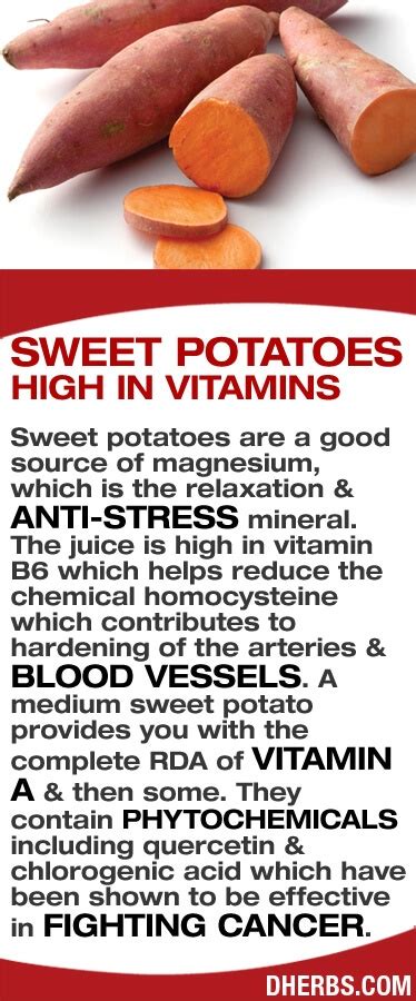 10 Best Gluten free & Vegan Sweet Potato Recipes - Vegan Family Recipes