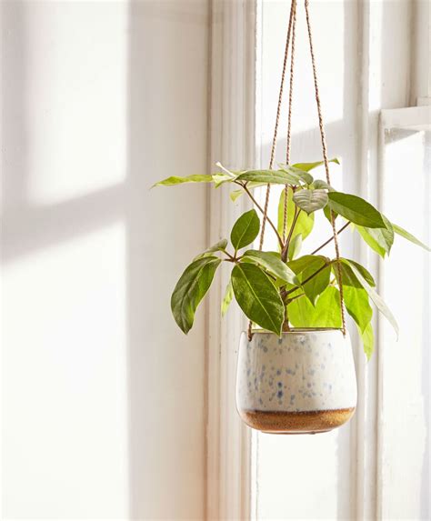 The Best Stylish Indoor Hanging Planters Of 2018 Apartment Therapy