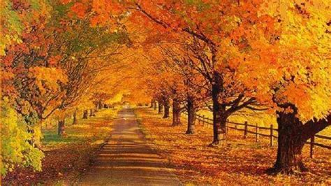 32 Autumn Scenes Wallpaper Landscapes On Wallpapersafari