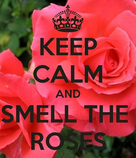 Pin By Michele Pianezza On Flowers Keep Calm Keep Calm Quotes Calm