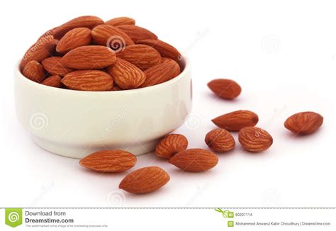 Fresh Almonds Stock Photo Image Of Organic Nature Healthy 60207114