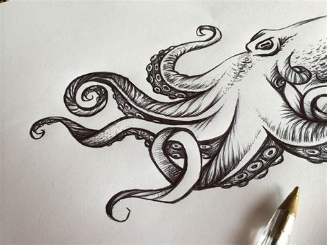 Evil Octopus Drawing At Getdrawings Free Download