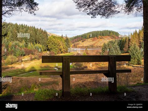Landscape Photography Of Lake Mountains Forest Autumn Bench Three