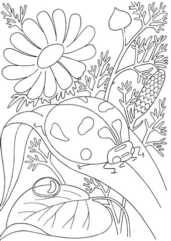 ladybird  flowers coloring page supercoloringcom