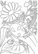 Coloring Flowers Among Ladybird Pages Color Supercoloring Flower Ladybug Butterfly Gif Lady Ladybugs Resize Butterflies Adult sketch template