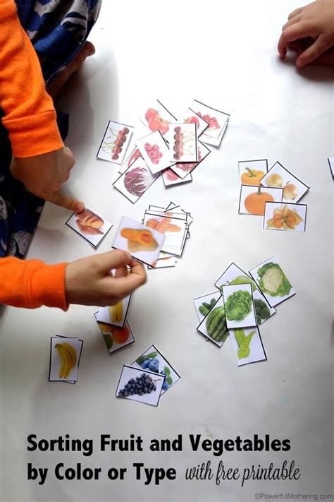 Fruit And Vegetable Sorting Activity With Free Printable Preschool