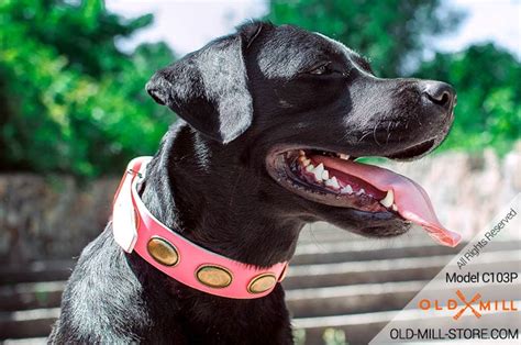 This includes safety tips, how to size the collar and the proper use of the. Pink Leather Girl Dog Collar with Vintage Plates - Old ...
