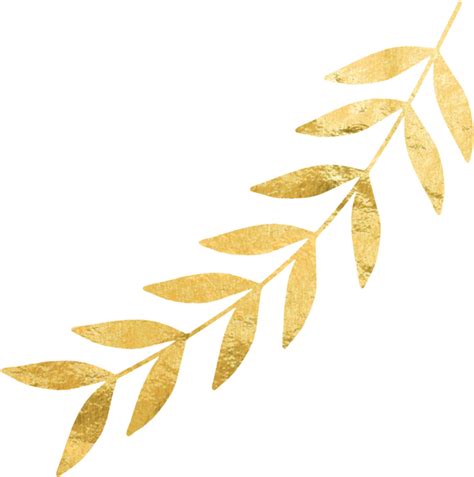 Download Right Gold Leaf Gold Leaf Png Png Image With No Background