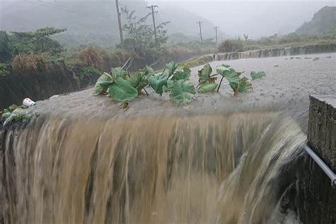 Search for text in self post contents. 豪雨成灾 台东兰屿芋头田淹成"游泳池"_快讯_中国台湾网