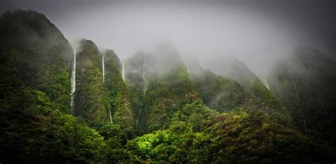 Nature Landscape Oahu Hawaii Tropical Forest Mist