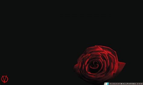 V Pour Vendetta Rose Fond Décran Hd à Télécharger Elegant Wallpapers