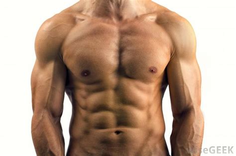 Anatomy character digitalart male muscles photoshop references torso tutorial posereference tincekmarincek valentinaremenar. De 31 bästa male anatomy-bilderna på Pinterest | Anatomi ...