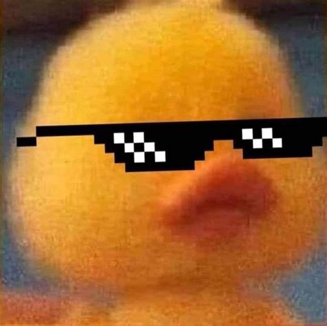 Download A Duck Wearing Sunglasses With A Pixelated Face