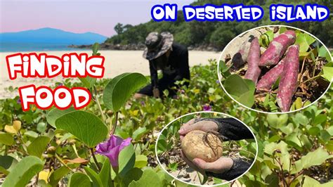 Finding Food On Deserted Island Primitive Survival Skills