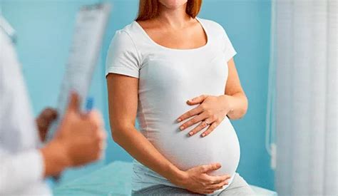 Segundo Trimestre De Embarazo Guía útil