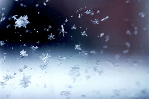 Snowflake Falling By Photography By Tera Fraley