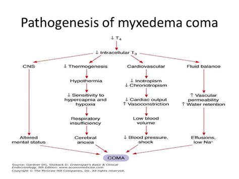 Myxedema Coma Definition Causes Symptoms Diagnosis And Treatment