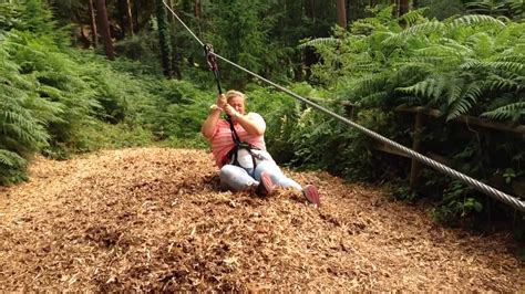 Go Ape Haldon Forest Exeter Youtube