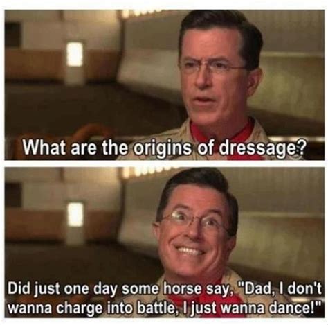 85 Best Images About Horse Memes On Pinterest Horse Meme