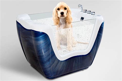 You can find a wide variety of pets & puppies for adoption. Pet Spa BL-580 - Beauty Luxury