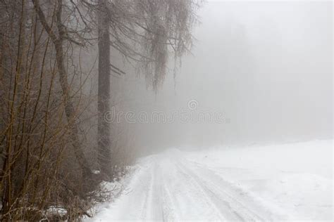 Snow Covered Road In Winter Foggy Forest Stock Photo Image Of