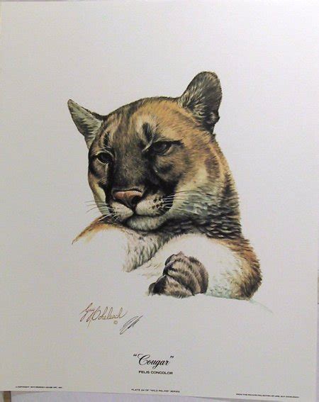 2097 guy coheleach signed lithograph cougar nov 17 2005 rogue gallery in ny