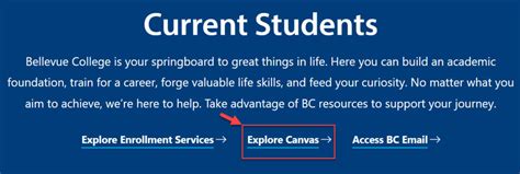Canvas Log In Elearning