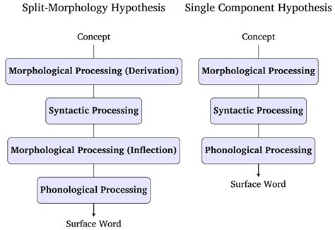 So How Do We Split Morphology