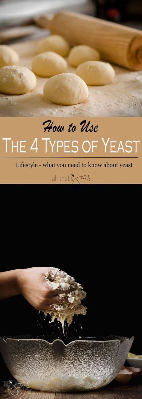 How To Use The 4 Different Types Of Yeast No Yeast Bread Food