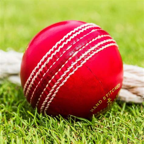 Fortress Club Crown Cricket Balls Box Of 6 Net World Sports