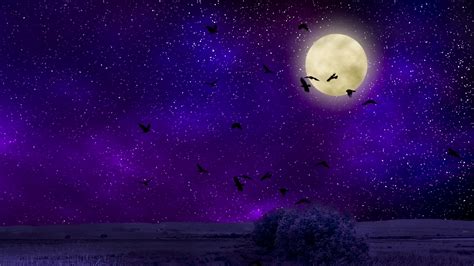 Night Sky With Moon Wallpaper